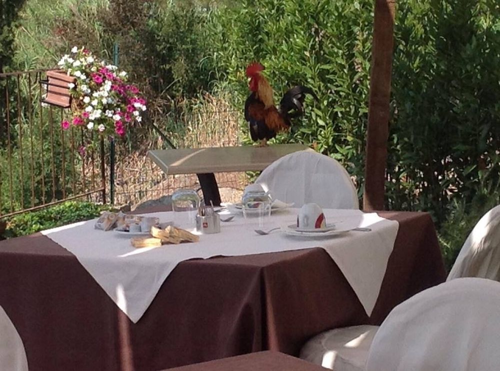 La Locanda Di Ortimino Montespertoli Esterno foto